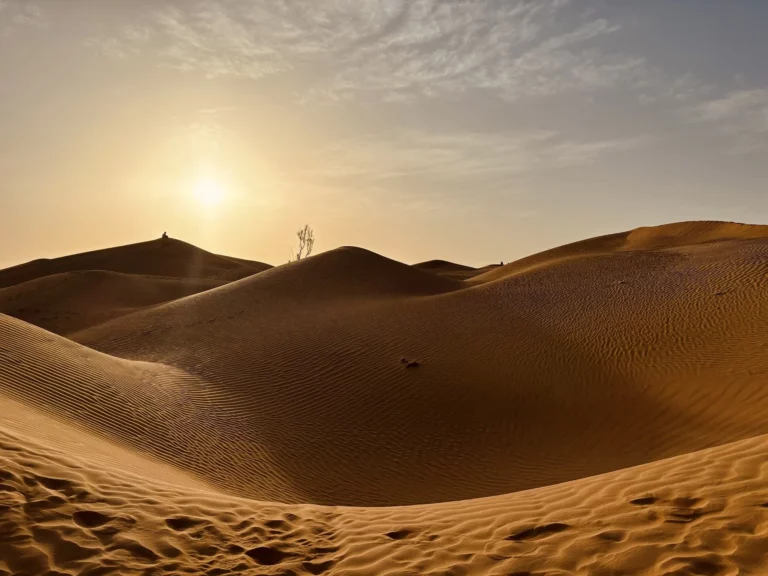 Immagine per Alla scoperta dell’Oman